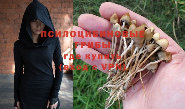 амфетамин Алексин